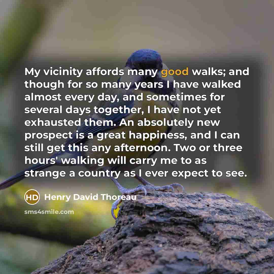 “My vicinity affords many good walks; and though for so many years I have walked almost every day, and sometimes for several days together, I have not yet exhausted them. An absolutely new prospect is a great happiness, and I can still get this any afternoon. Two or three hours' walking will carry…” quote by Henry David Thoreau
