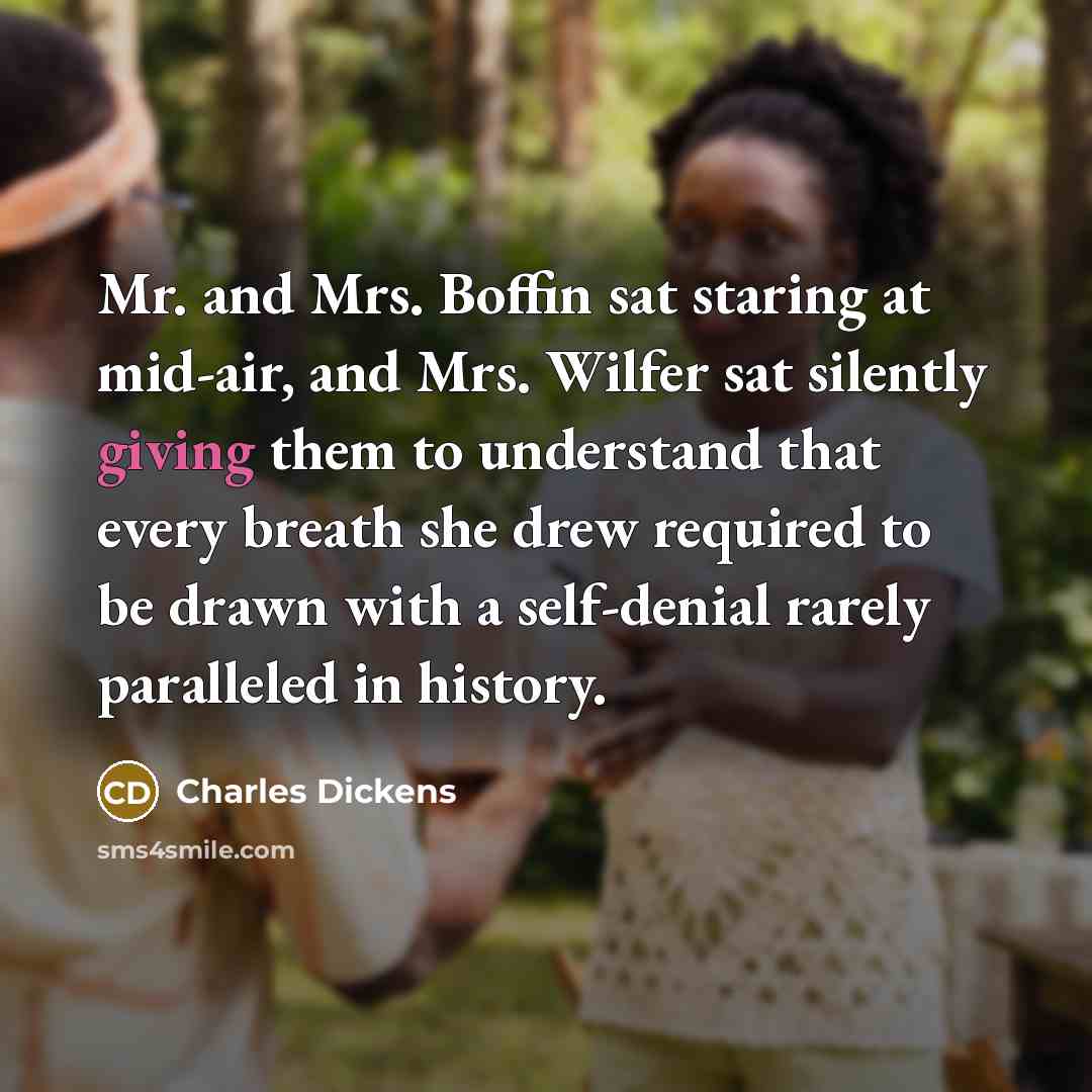 “Mr. and Mrs. Boffin sat staring at mid-air, and Mrs. Wilfer sat silently giving them to understand that every breath she drew required to be drawn with a self-denial rarely paralleled in history.” quote by Charles Dickens