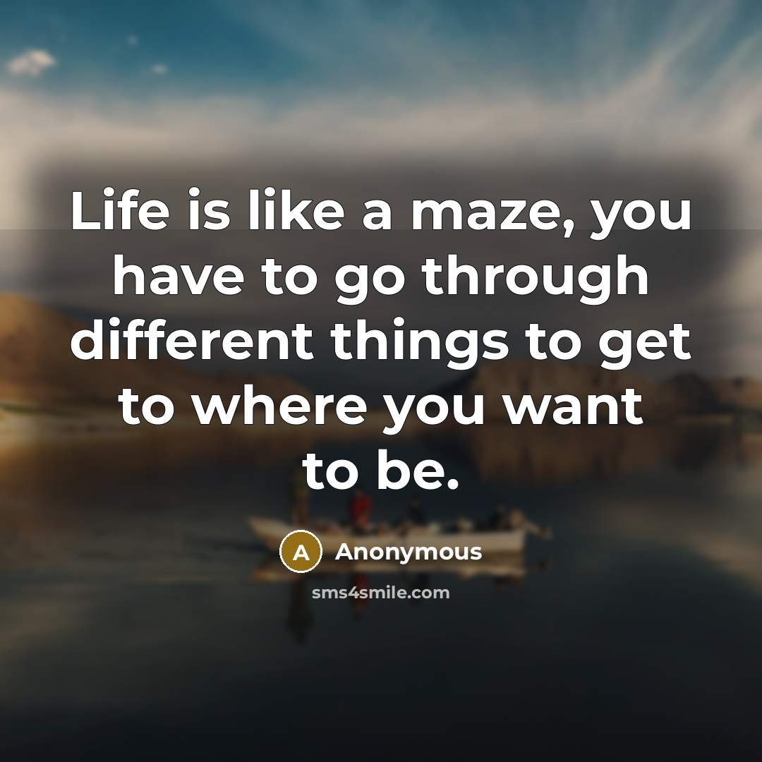 “Life is like a maze, you have to go through different things to get to where you want to be.” quote by Anonymous