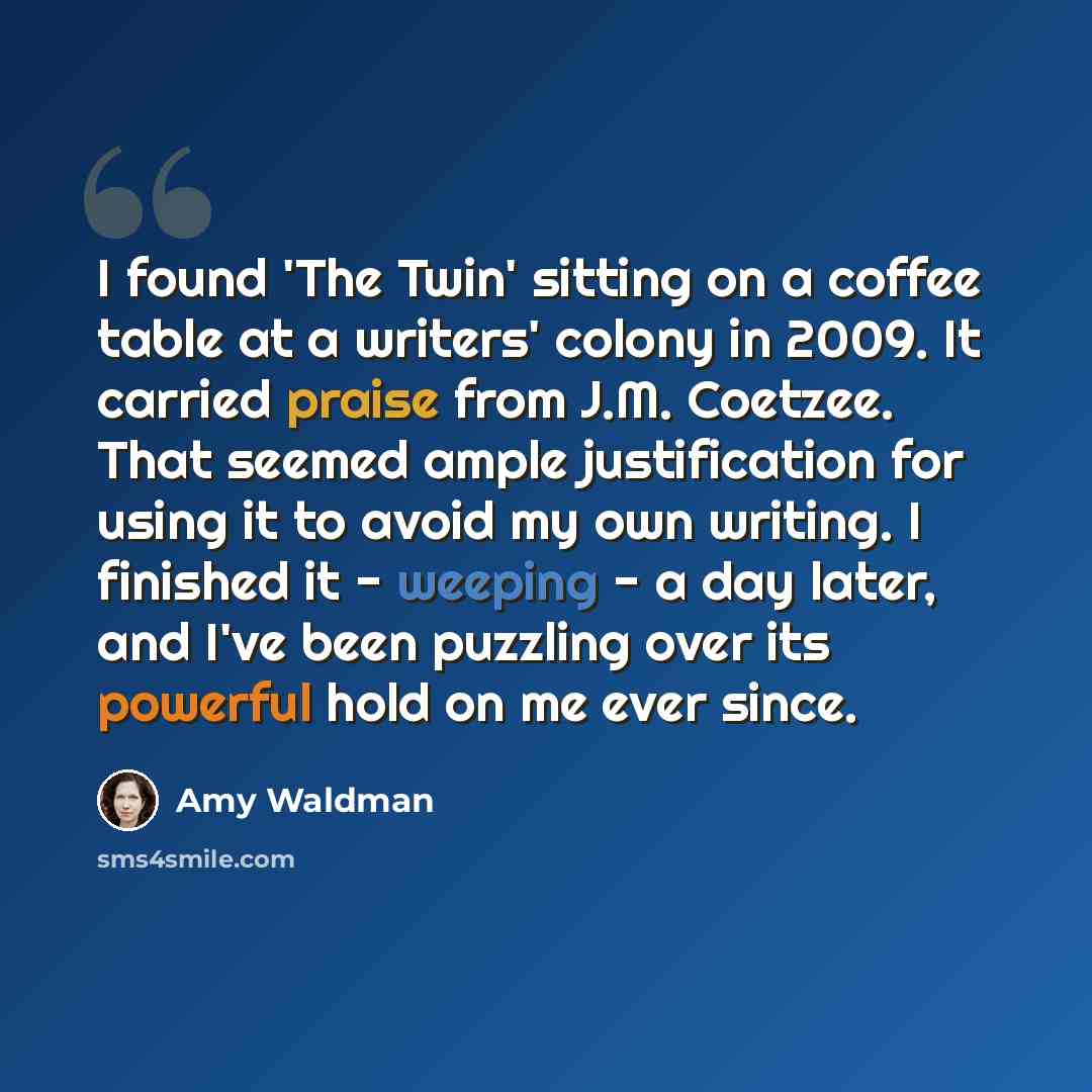 “I found 'The Twin' sitting on a coffee table at a writers' colony in 2009. It carried praise from J.M. Coetzee. That seemed ample justification for using it to avoid my own writing. I finished it - weeping - a day later, and I've been puzzling over its powerful hold on me ever since.” quote by Amy Waldman