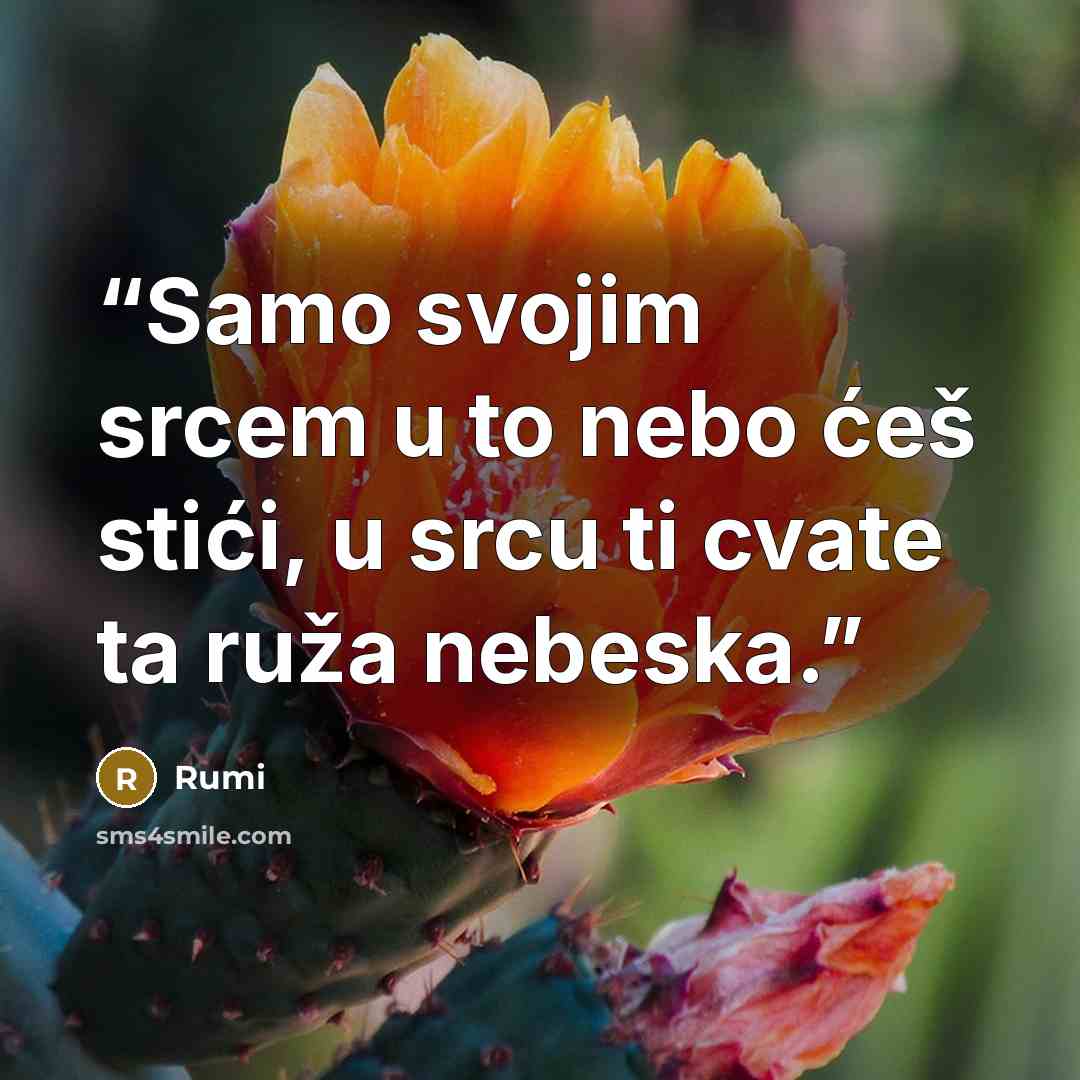 “Samo svojim srcem u to nebo ćeš stići, u srcu ti cvate ta ruža nebeska.” quote by Rumi