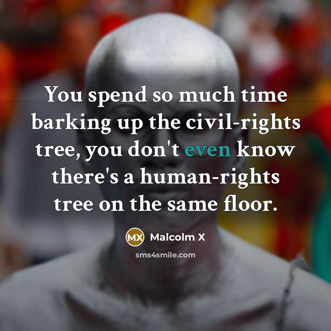 “You spend so much time barking up the civil-rights tree, you don't even know there's a human-rights tree on the same floor.” quote by Malcolm X