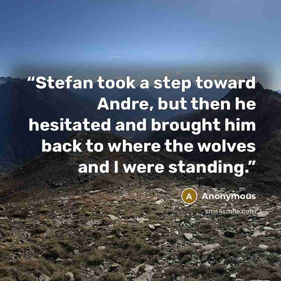 “Stefan took a step toward Andre, but then he hesitated and brought him back to where the wolves and I were standing.” quote by Anonymous