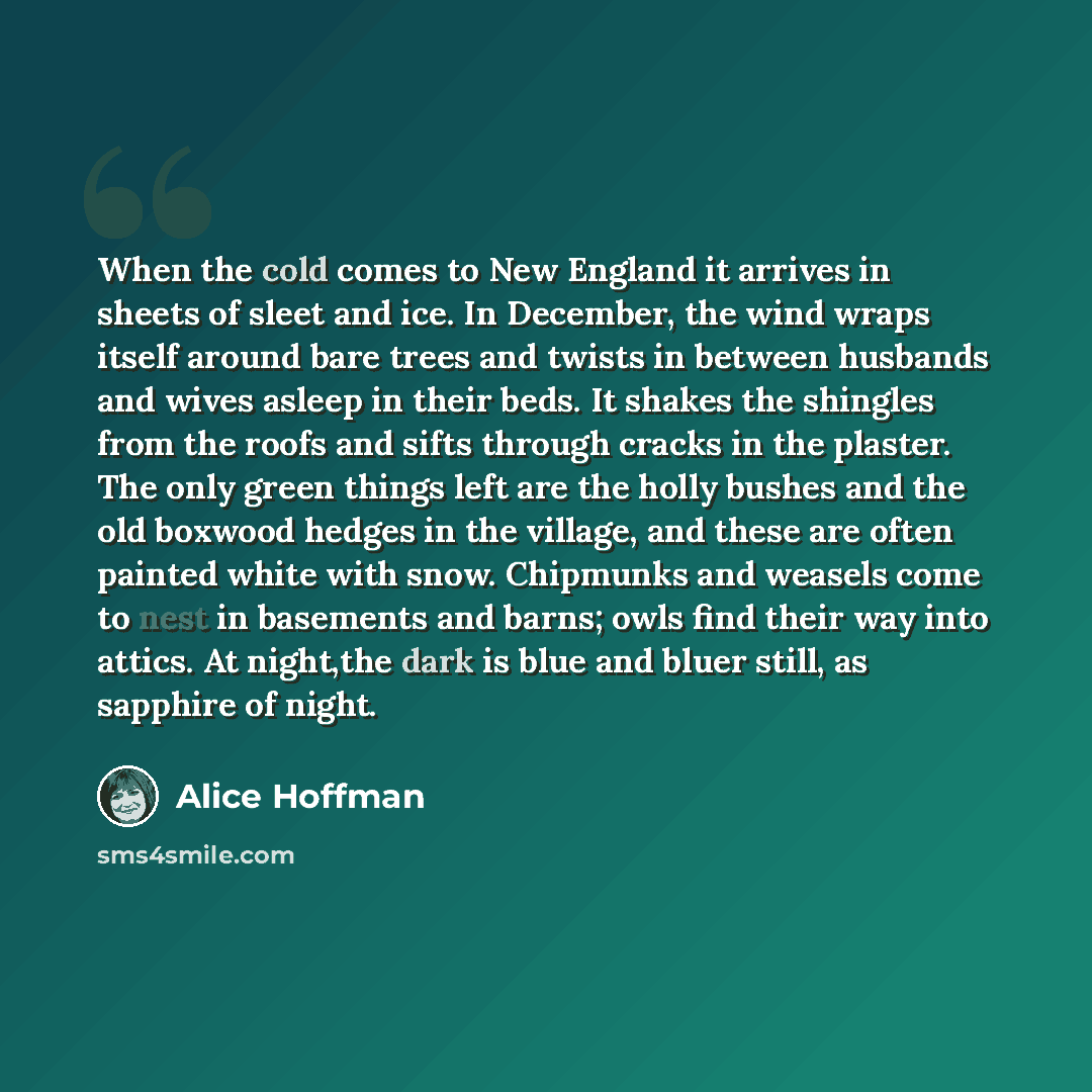 “When the cold comes to New England it arrives in sheets of sleet and ice. In December, the wind wraps itself around bare trees and twists in between husbands and wives asleep in their beds. It shakes the shingles from the roofs and sifts through cracks in the plaster. The only green things left…” quote by Alice Hoffman