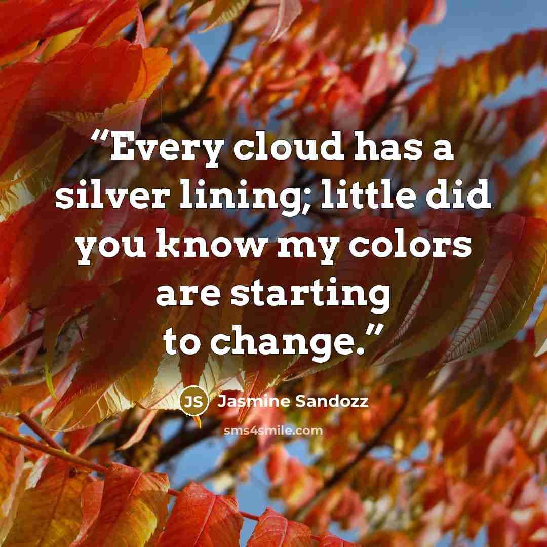 “Every cloud has a silver lining; little did you know my colors are starting to change.” quote by Jasmine Sandozz