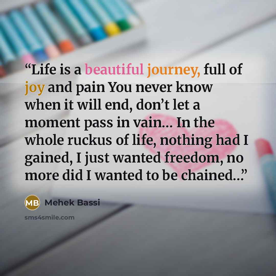“Life is a beautiful journey, full of joy and pain You never know when it will end, don’t let a moment pass in vain… In the whole ruckus of life, nothing had I gained, I just wanted freedom, no more did I wanted to be chained…” quote by Mehek Bassi