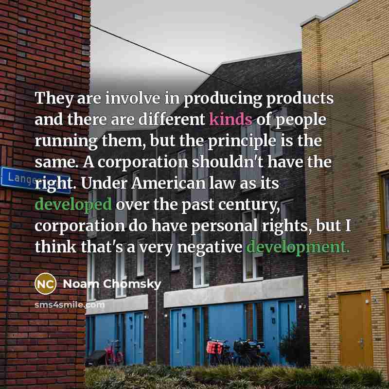 “They are involve in producing products and there are different kinds of people running them, but the principle is the same. A corporation shouldn't have the right. Under American law as its developed over the past century, corporation do have personal rights, but I think that's a very negative…” quote by Noam Chomsky