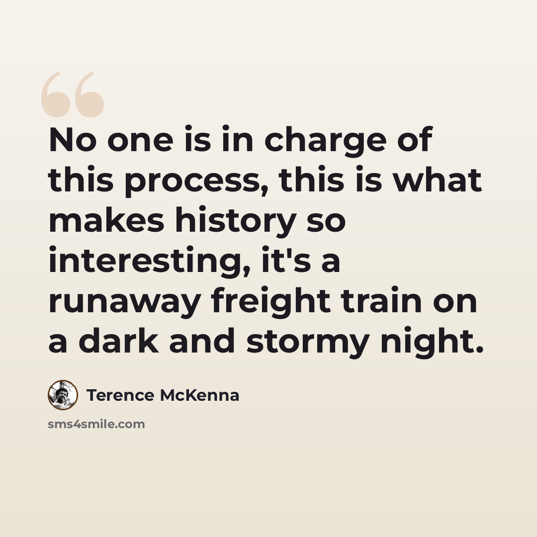 “No one is in charge of this process, this is what makes history so interesting, it's a runaway freight train on a dark and stormy night.” quote by Terence McKenna