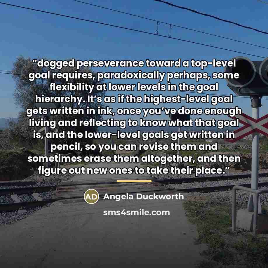 “dogged perseverance toward a top-level goal requires, paradoxically perhaps, some flexibility at lower levels in the goal hierarchy. It’s as if the highest-level goal gets written in ink, once you’ve done enough living and reflecting to know what that goal is, and the lower-level goals get written…” quote by Angela Duckworth