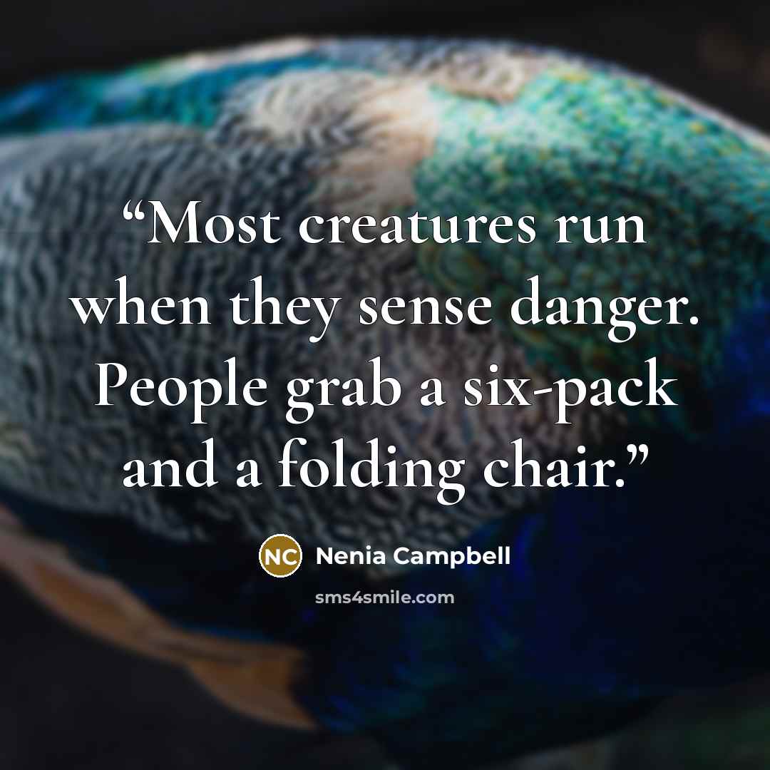 “Most creatures run when they sense danger. People grab a six-pack and a folding chair.” quote by Nenia Campbell