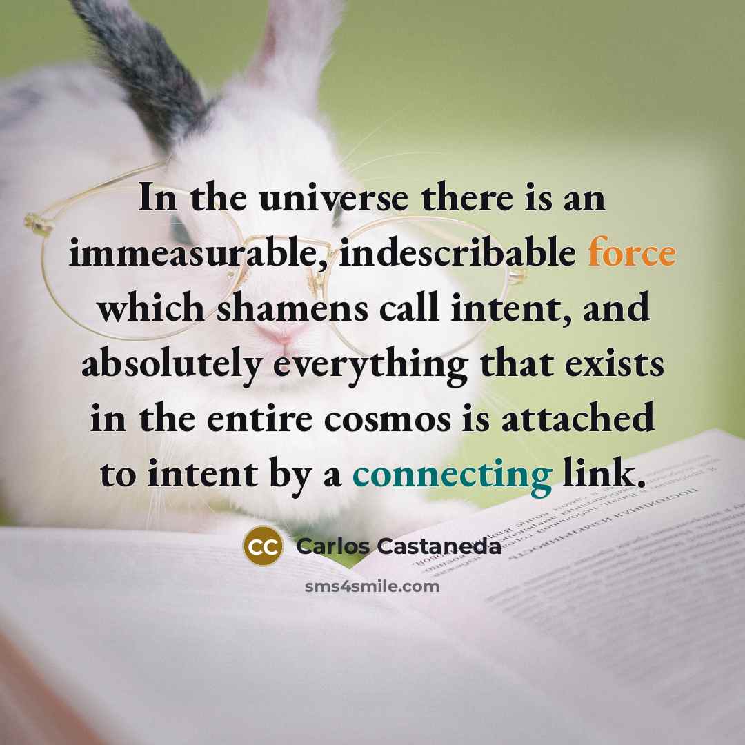 “In the universe there is an immeasurable, indescribable force which shamens call intent, and absolutely everything that exists in the entire cosmos is attached to intent by a connecting link.” quote by Carlos Castaneda