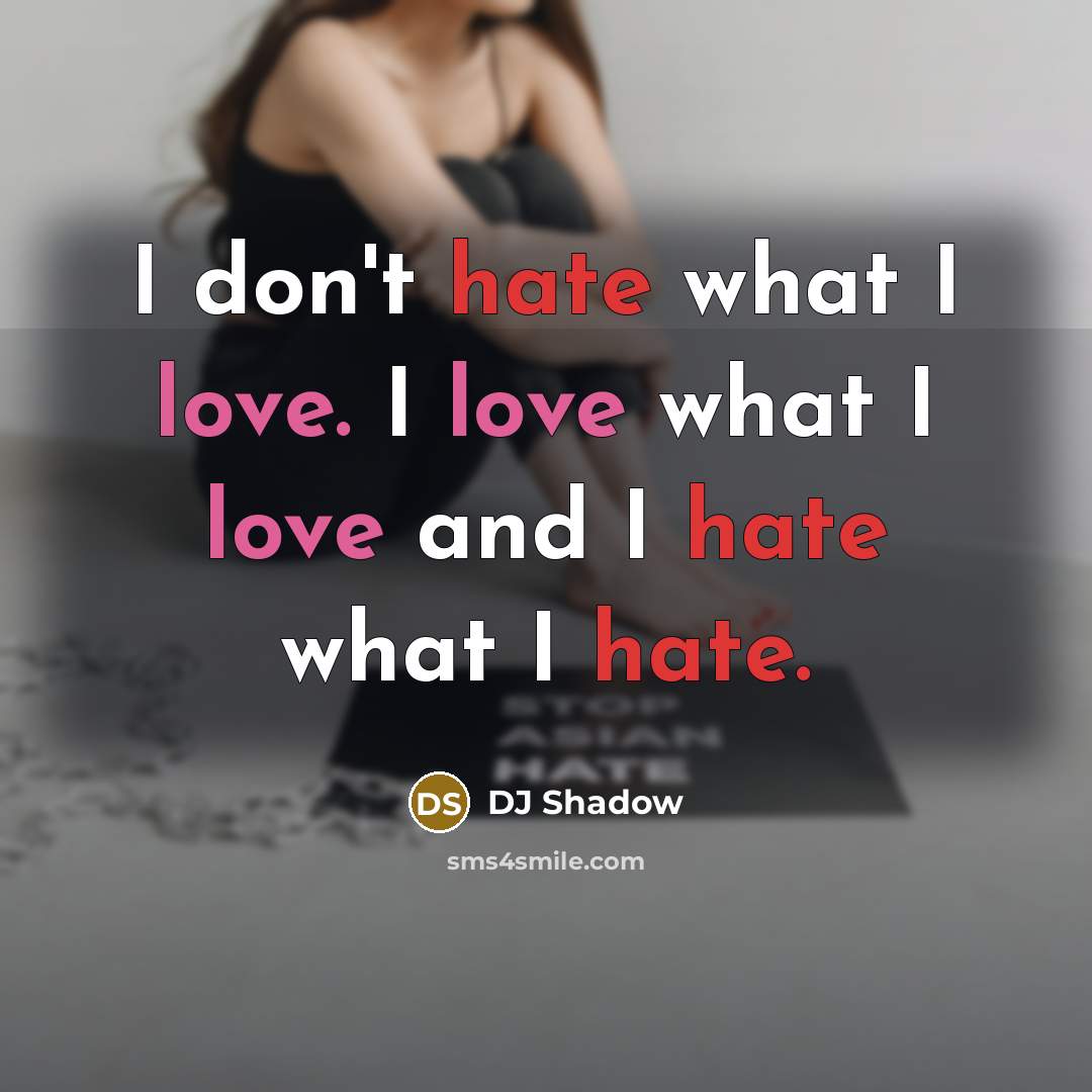“I don't hate what I love. I love what I love and I hate what I hate.” quote by DJ Shadow