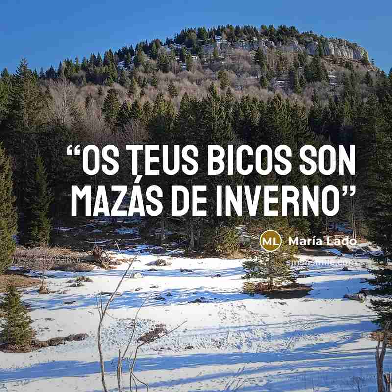 “os teus bicos son mazás de inverno” quote by María Lado