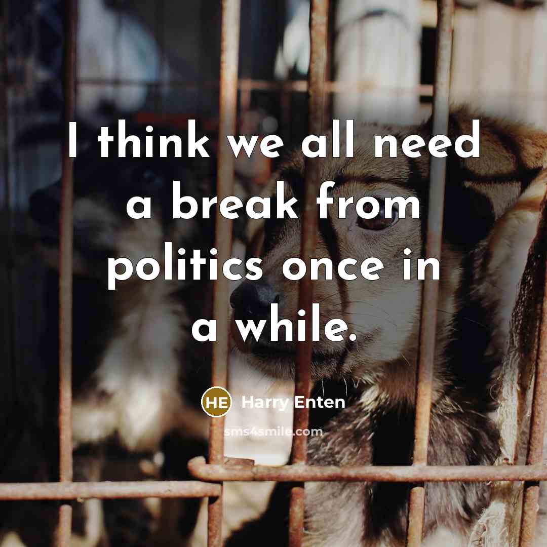 “I think we all need a break from politics once in a while.” quote by Harry Enten