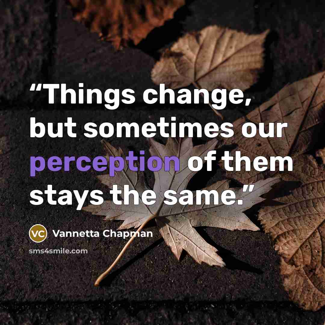 “Things change, but sometimes our perception of them stays the same.” quote by Vannetta Chapman