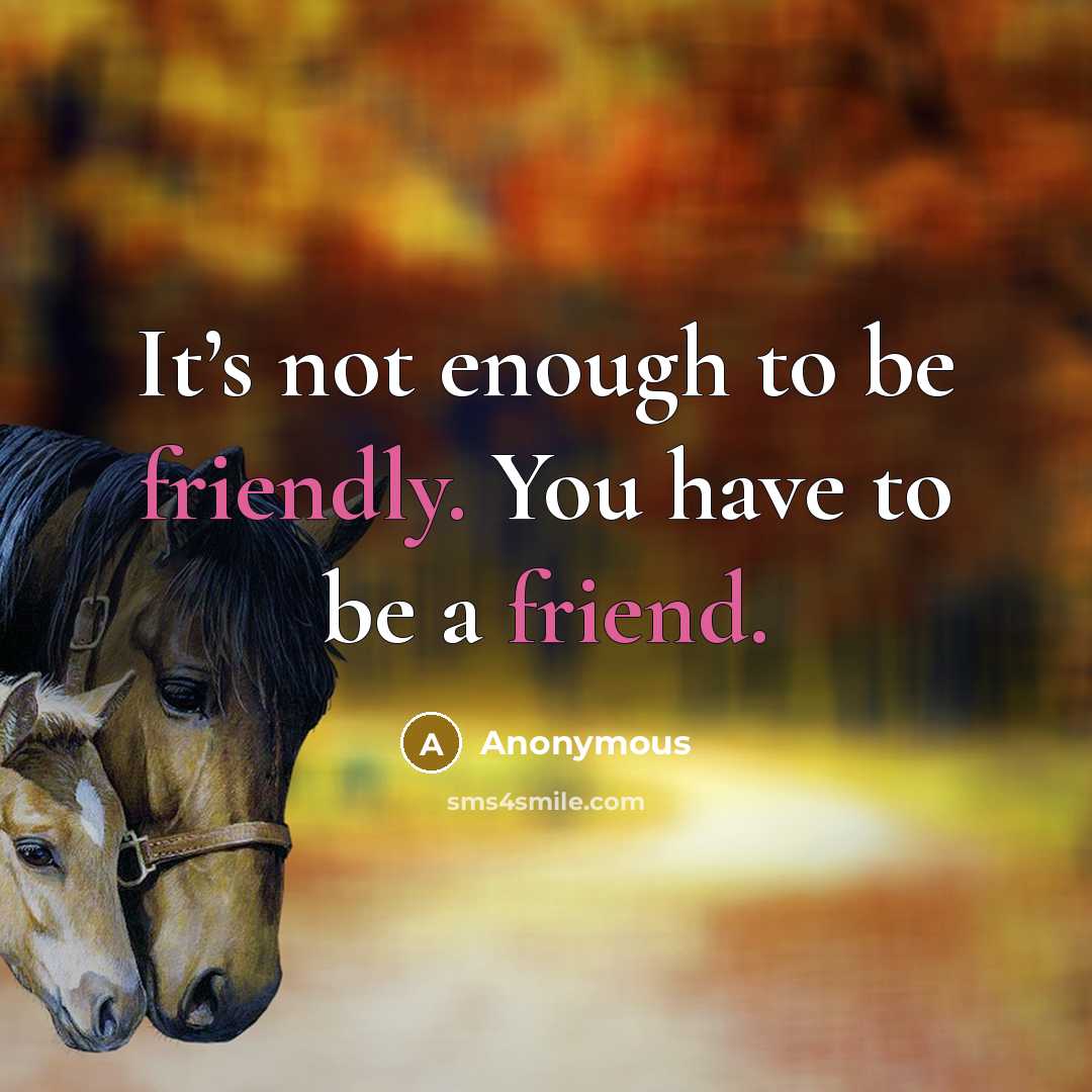 “It’s not enough to be friendly. You have to be a friend.” quote by Anonymous