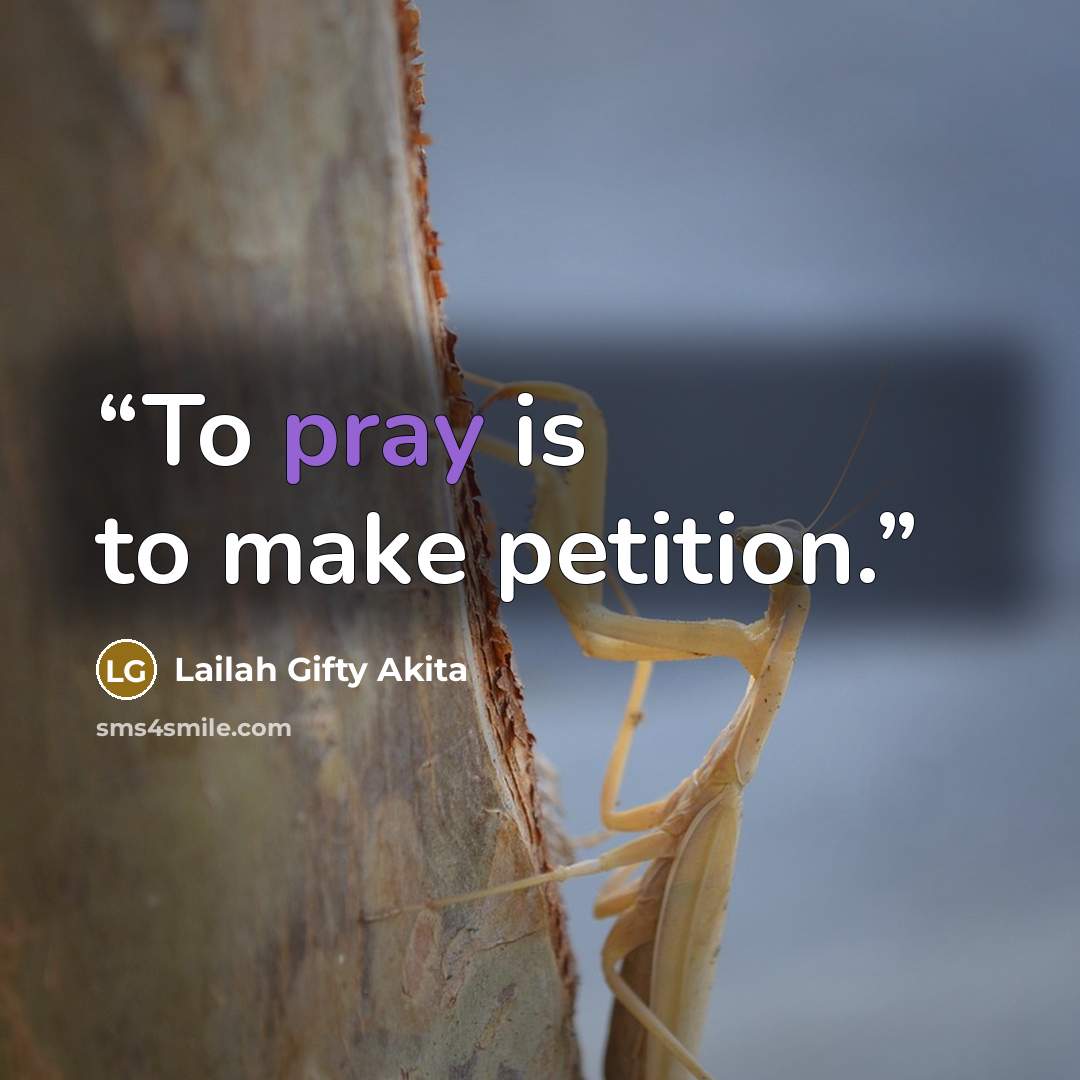 “To pray is to make petition.” quote by Lailah Gifty Akita