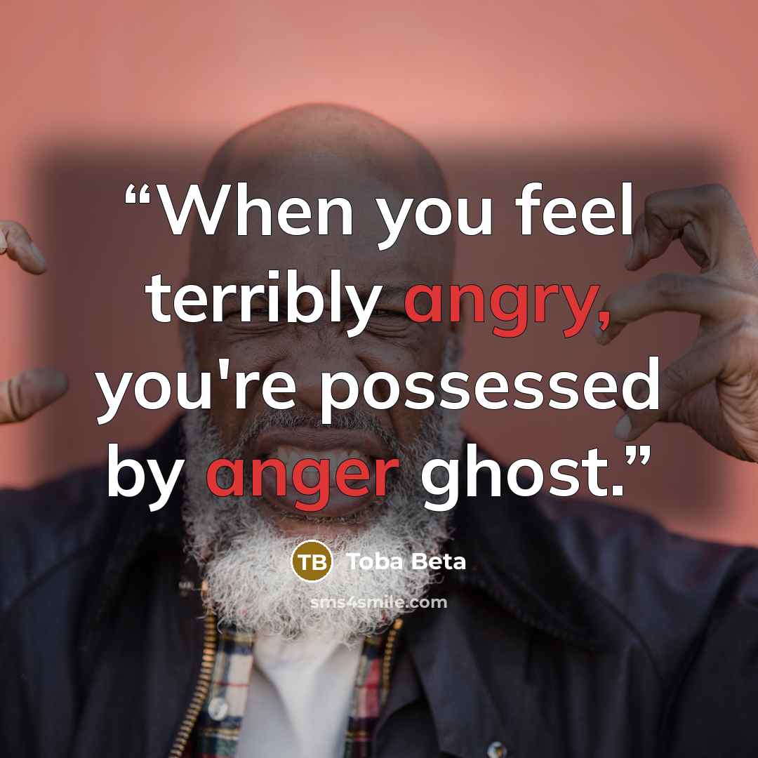 “When you feel terribly angry, you're possessed by anger ghost.” quote by Toba Beta