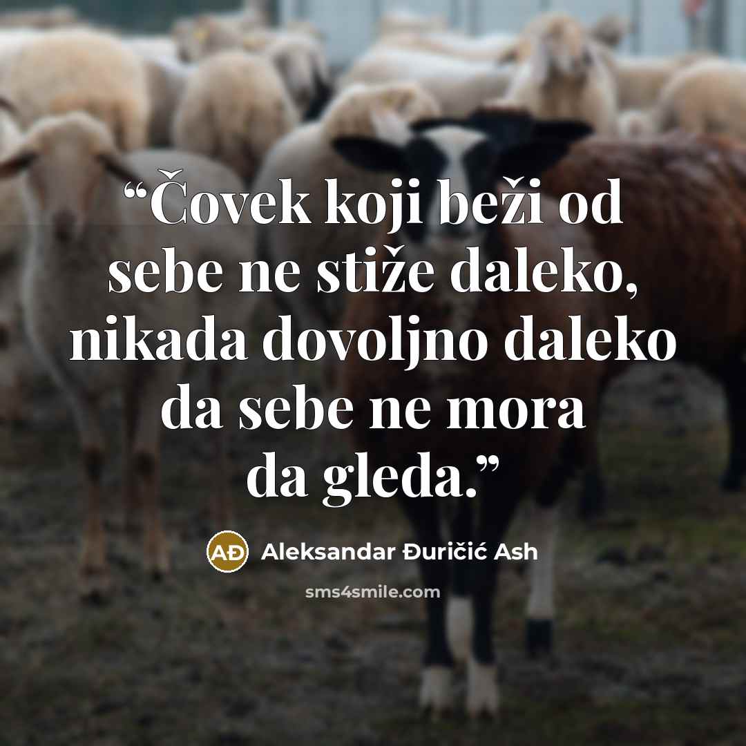 “Čovek koji beži od sebe ne stiže daleko, nikada dovoljno daleko da sebe ne mora da gleda.” quote by Aleksandar Đuričić Ash