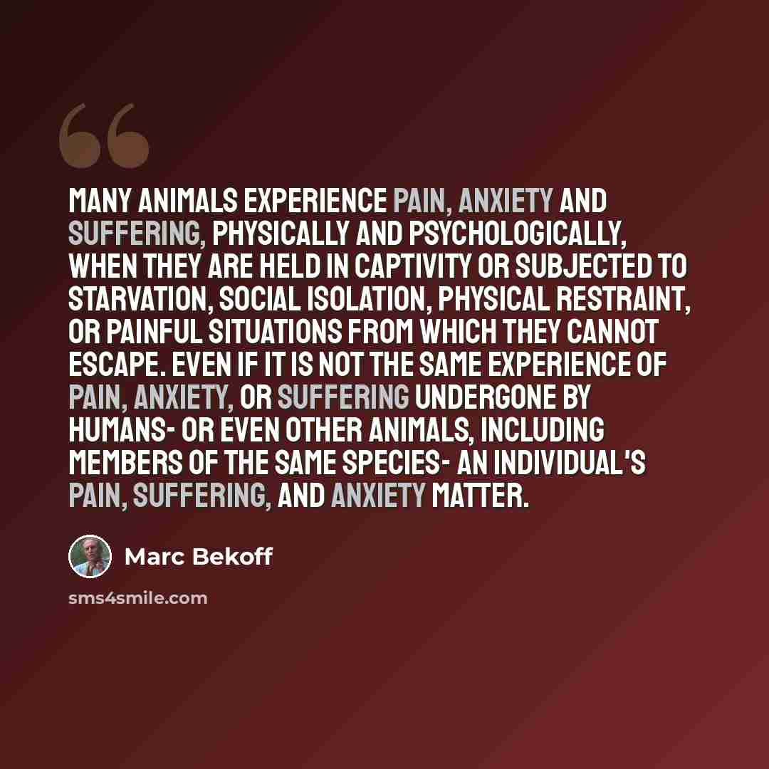 “Many animals experience pain, anxiety and suffering, physically and psychologically, when they are held in captivity or subjected to starvation, social isolation, physical restraint, or painful situations from which they cannot escape. Even if it is not the same experience of pain, anxiety, or…” quote by Marc Bekoff