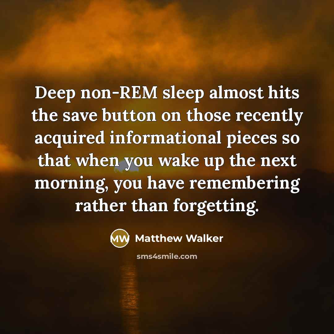 “Deep non-REM sleep almost hits the save button on those recently acquired informational pieces so that when you wake up the next morning, you have remembering rather than forgetting.” quote by Matthew Walker