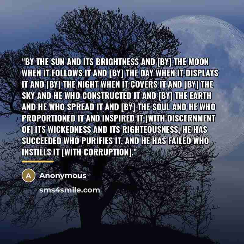 “By the sun and its brightness And [by] the moon when it follows it And [by] the day when it displays it And [by] the night when it covers it And [by] the sky and He who constructed it And [by] the earth and He who spread it And [by] the soul and He who proportioned it And inspired it [with…” quote by Anonymous