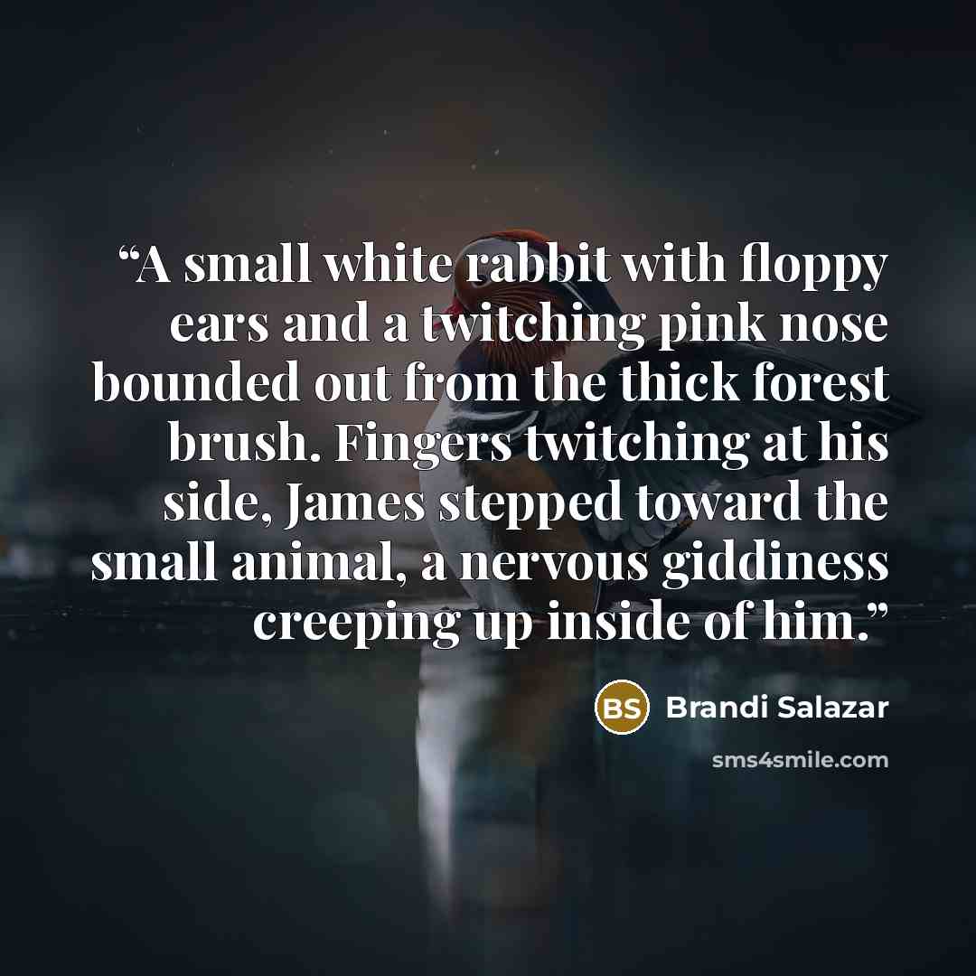 “A small white rabbit with floppy ears and a twitching pink nose bounded out from the thick forest brush. Fingers twitching at his side, James stepped toward the small animal, a nervous giddiness creeping up inside of him.” quote by Brandi Salazar