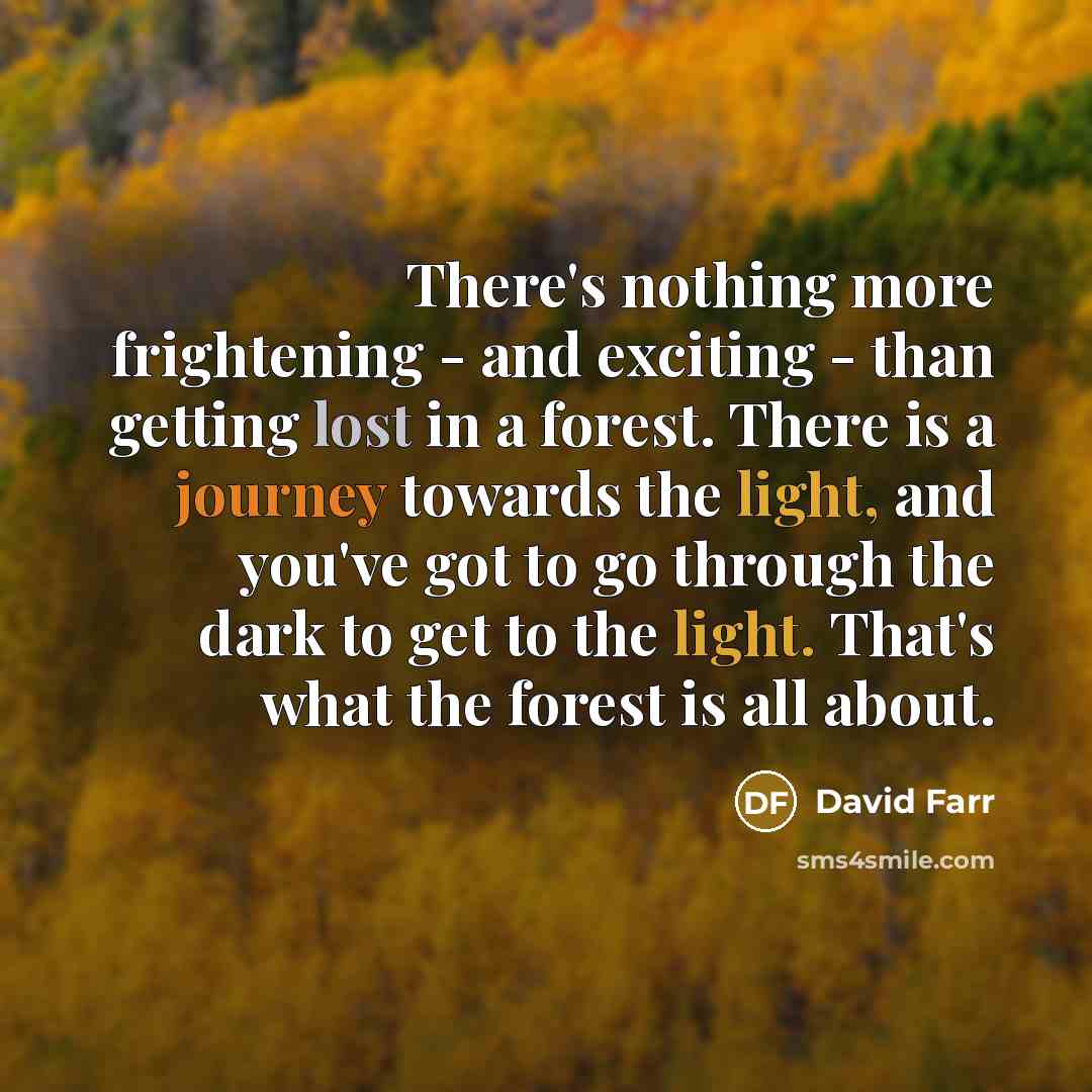 “There's nothing more frightening - and exciting - than getting lost in a forest. There is a journey towards the light, and you've got to go through the dark to get to the light. That's what the forest is all about.” quote by David Farr