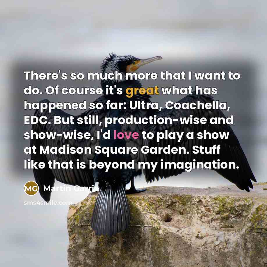 “There's so much more that I want to do. Of course it's great what has happened so far: Ultra, Coachella, EDC. But still, production-wise and show-wise, I'd love to play a show at Madison Square Garden. Stuff like that is beyond my imagination.” quote by Martin Garrix