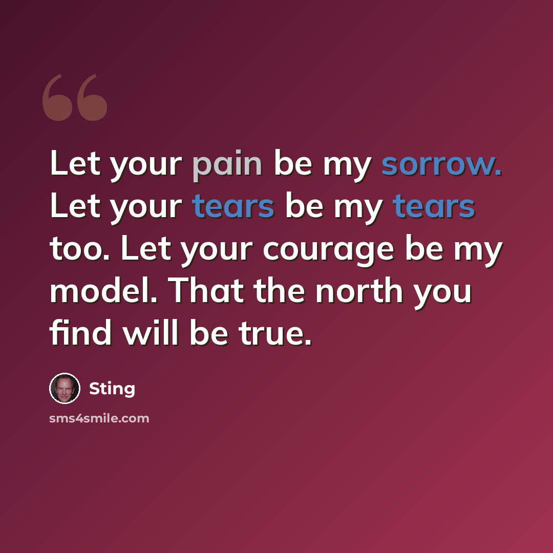 “Let your pain be my sorrow. Let your tears be my tears too. Let your courage be my model. That the north you find will be true.” quote by Sting