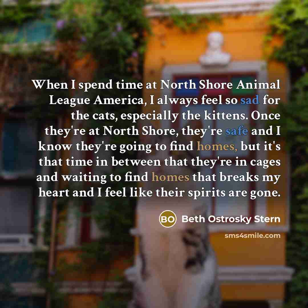 “When I spend time at North Shore Animal League America, I always feel so sad for the cats, especially the kittens. Once they're at North Shore, they're safe and I know they're going to find homes, but it's that time in between that they're in cages and waiting to find homes that breaks my heart…” quote by Beth Ostrosky Stern