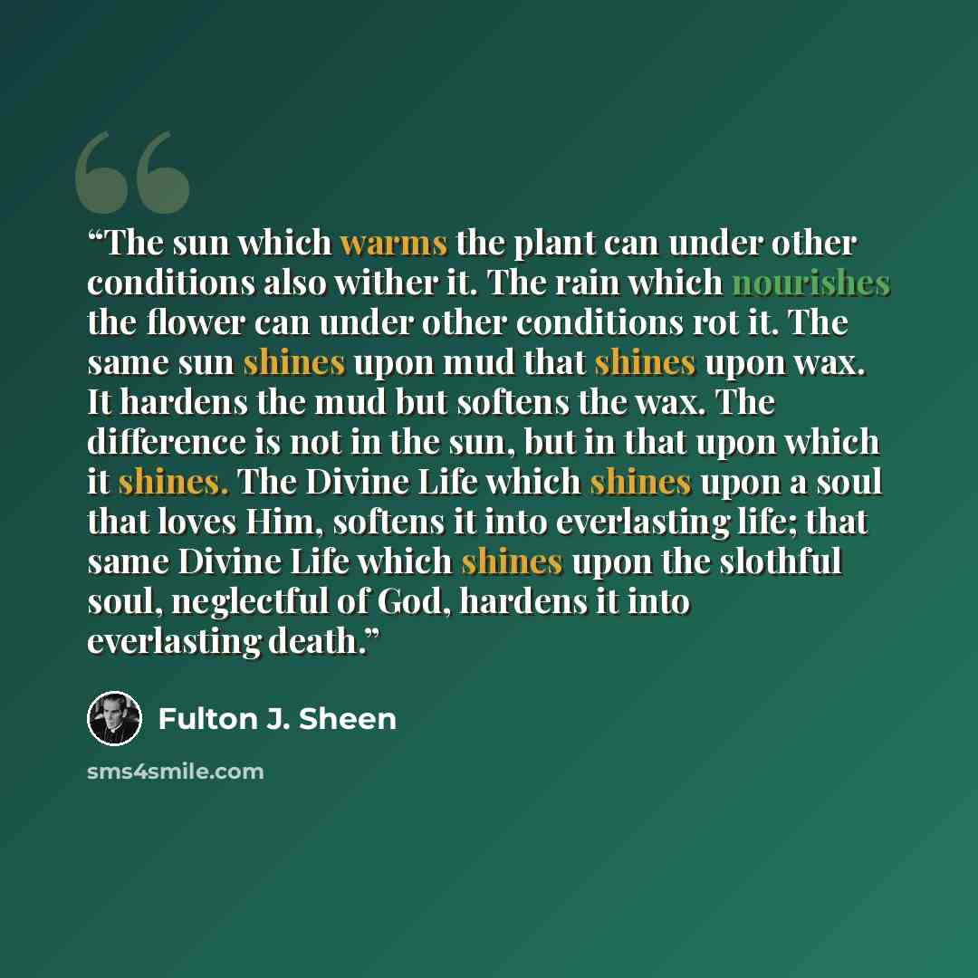 “The sun which warms the plant can under other conditions also wither it. The rain which nourishes the flower can under other conditions rot it. The same sun shines upon mud that shines upon wax. It hardens the mud but softens the wax. The difference is not in the sun, but in that upon which it…” quote by Fulton J. Sheen