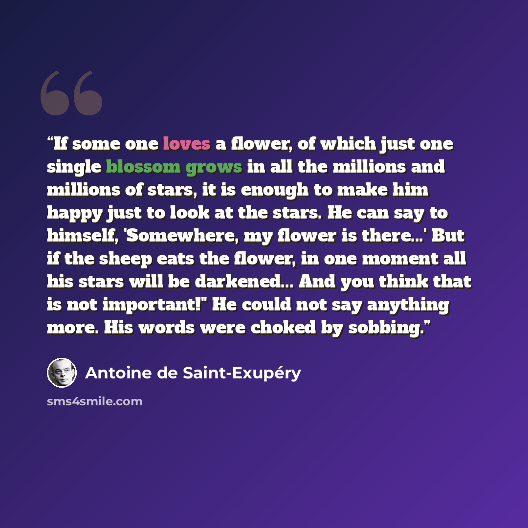“If some one loves a flower, of which just one single blossom grows in all the millions and millions of stars, it is enough to make him happy just to look at the stars. He can say to himself, 'Somewhere, my flower is there...' But if the sheep eats the flower, in one moment all his stars will be…” quote by Antoine de Saint-Exupéry