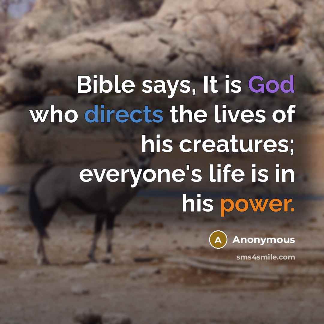 “Bible says, It is God who directs the lives of his creatures; everyone's life is in his power.” quote by Anonymous