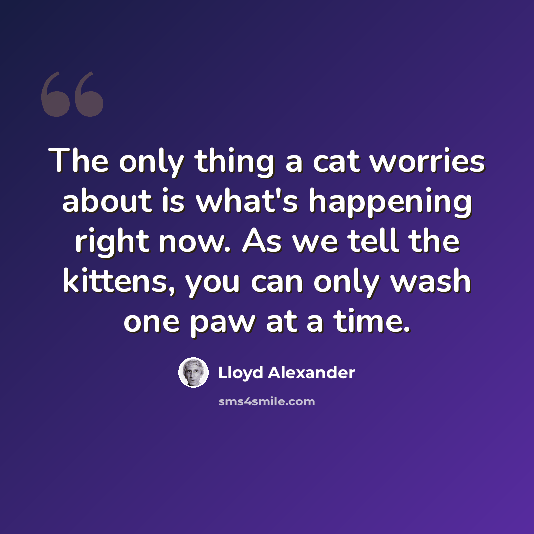 “The only thing a cat worries about is what's happening right now. As we tell the kittens, you can only wash one paw at a time.” quote by Lloyd Alexander