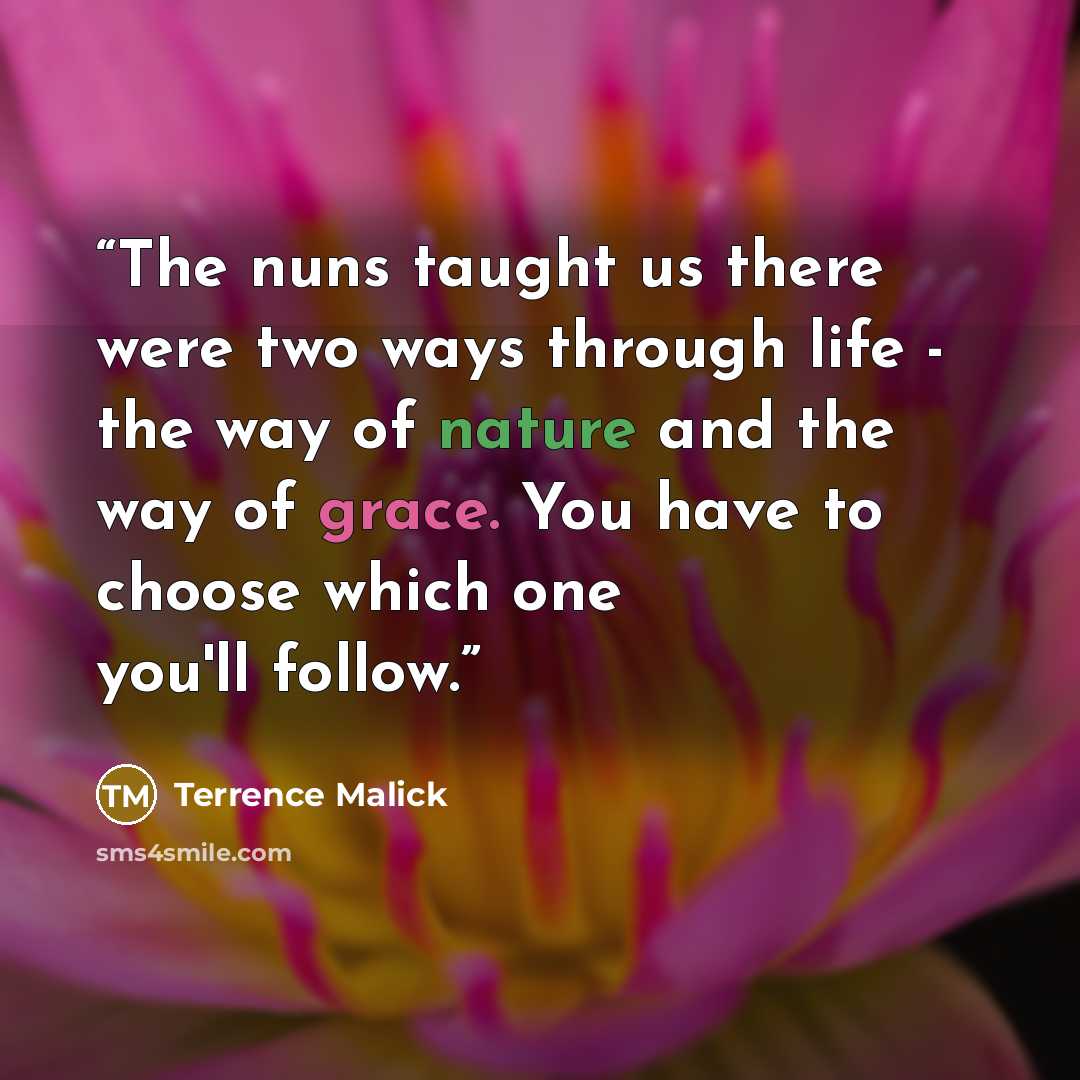 “The nuns taught us there were two ways through life - the way of nature and the way of grace. You have to choose which one you'll follow.” quote by Terrence Malick