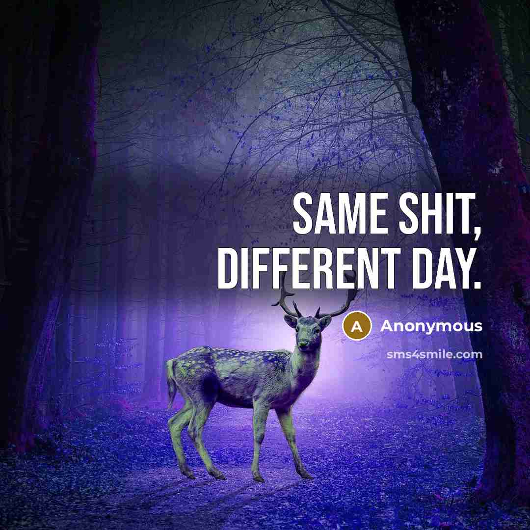 “Same shit, different day.” quote by Anonymous