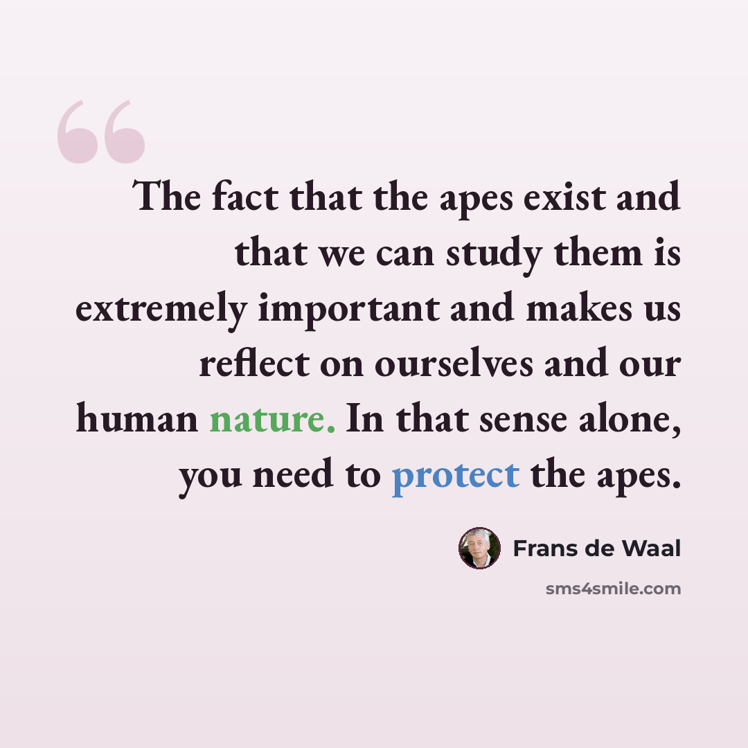 “The fact that the apes exist and that we can study them is extremely important and makes us reflect on ourselves and our human nature. In that sense alone, you need to protect the apes.” quote by Frans de Waal
