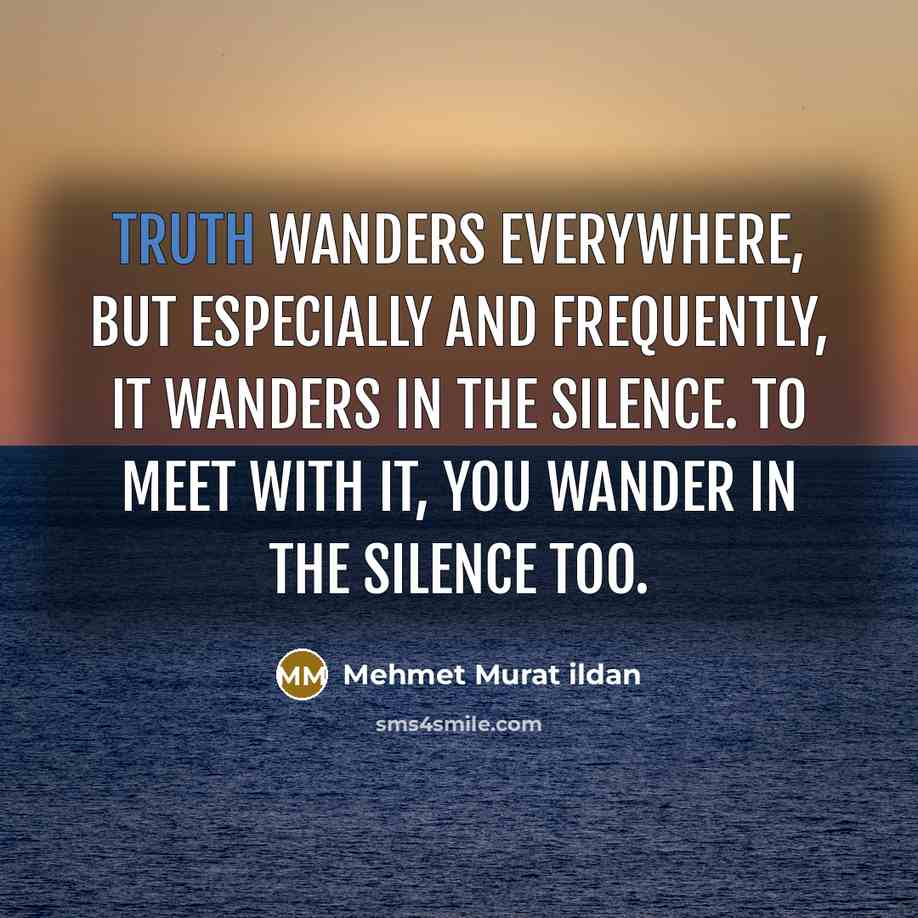 “Truth wanders everywhere, but especially and frequently, it wanders in the silence. To meet with it, you wander in the silence too.” quote by Mehmet Murat Ildan