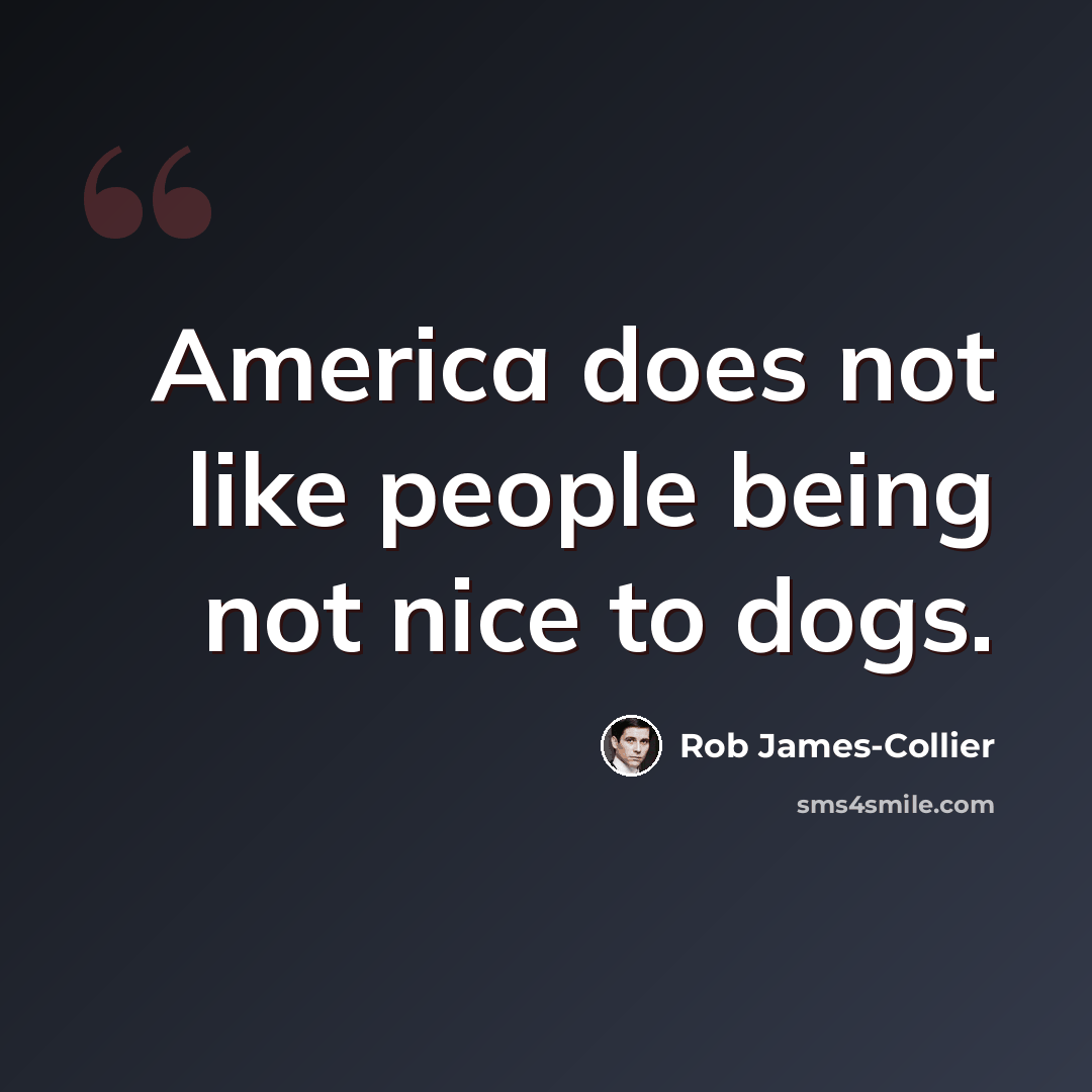 “America does not like people being not nice to dogs.” quote by Rob James-Collier