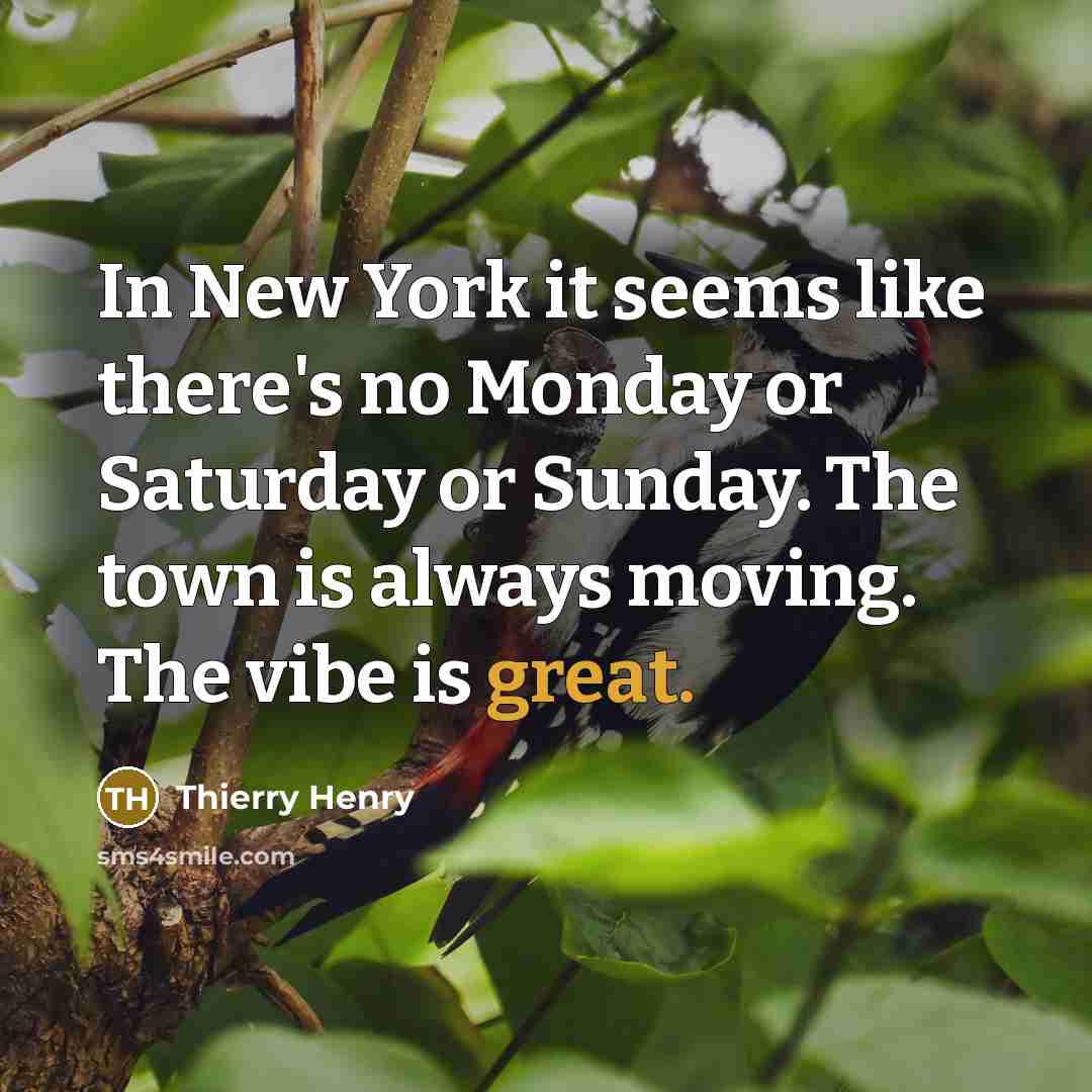 “In New York it seems like there's no Monday or Saturday or Sunday. The town is always moving. The vibe is great.” quote by Thierry Henry