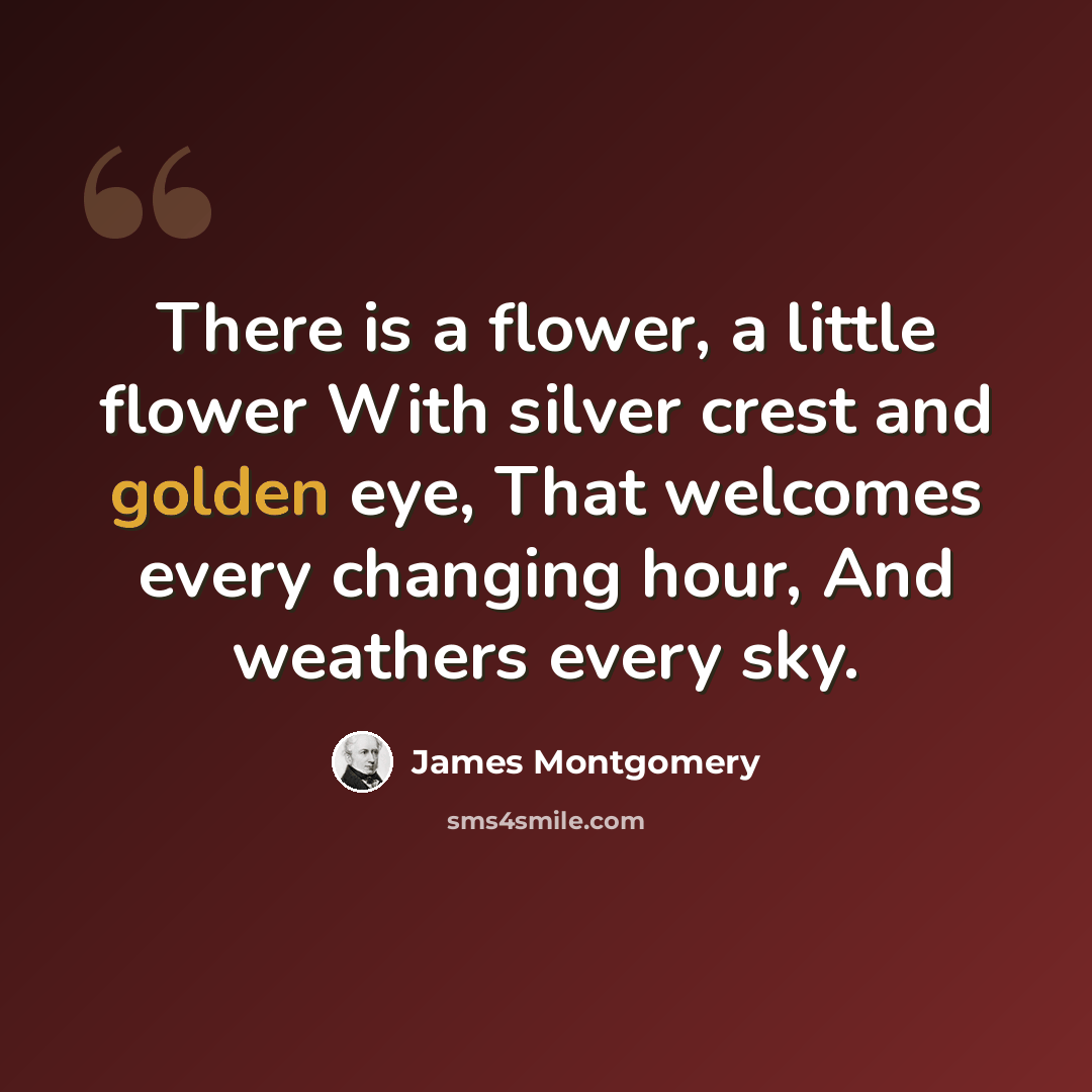 “There is a flower, a little flower With silver crest and golden eye, That welcomes every changing hour, And weathers every sky.” quote by James Montgomery