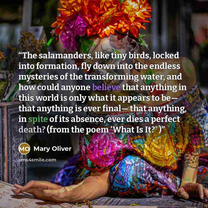 “The salamanders, like tiny birds, locked into formation, fly down into the endless mysteries of the transforming water, and how could anyone believe that anything in this world is only what it appears to be— that anything is ever final— that anything, in spite of its absence, ever dies a perfect…” quote by Mary Oliver