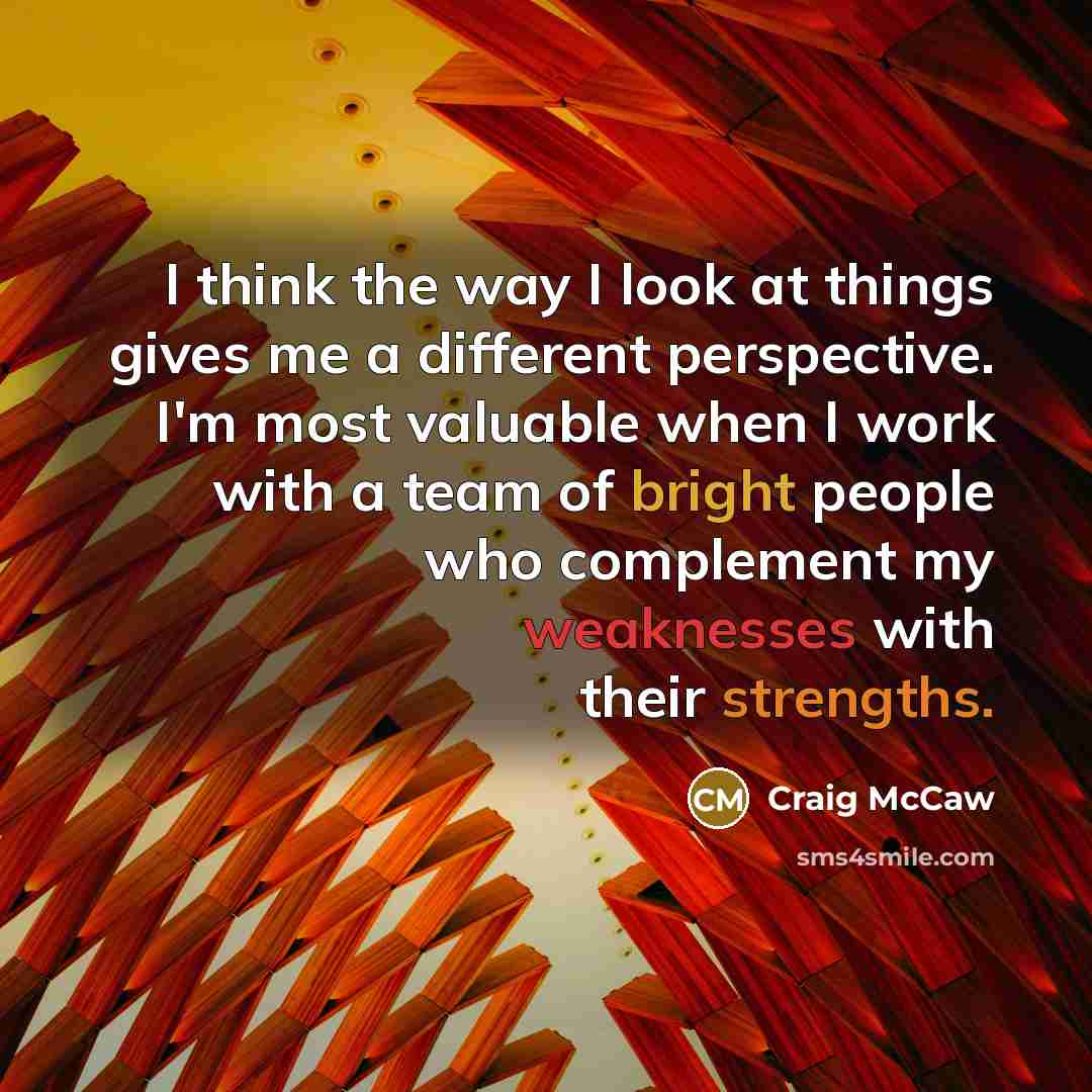 “I think the way I look at things gives me a different perspective. I'm most valuable when I work with a team of bright people who complement my weaknesses with their strengths.” quote by Craig McCaw