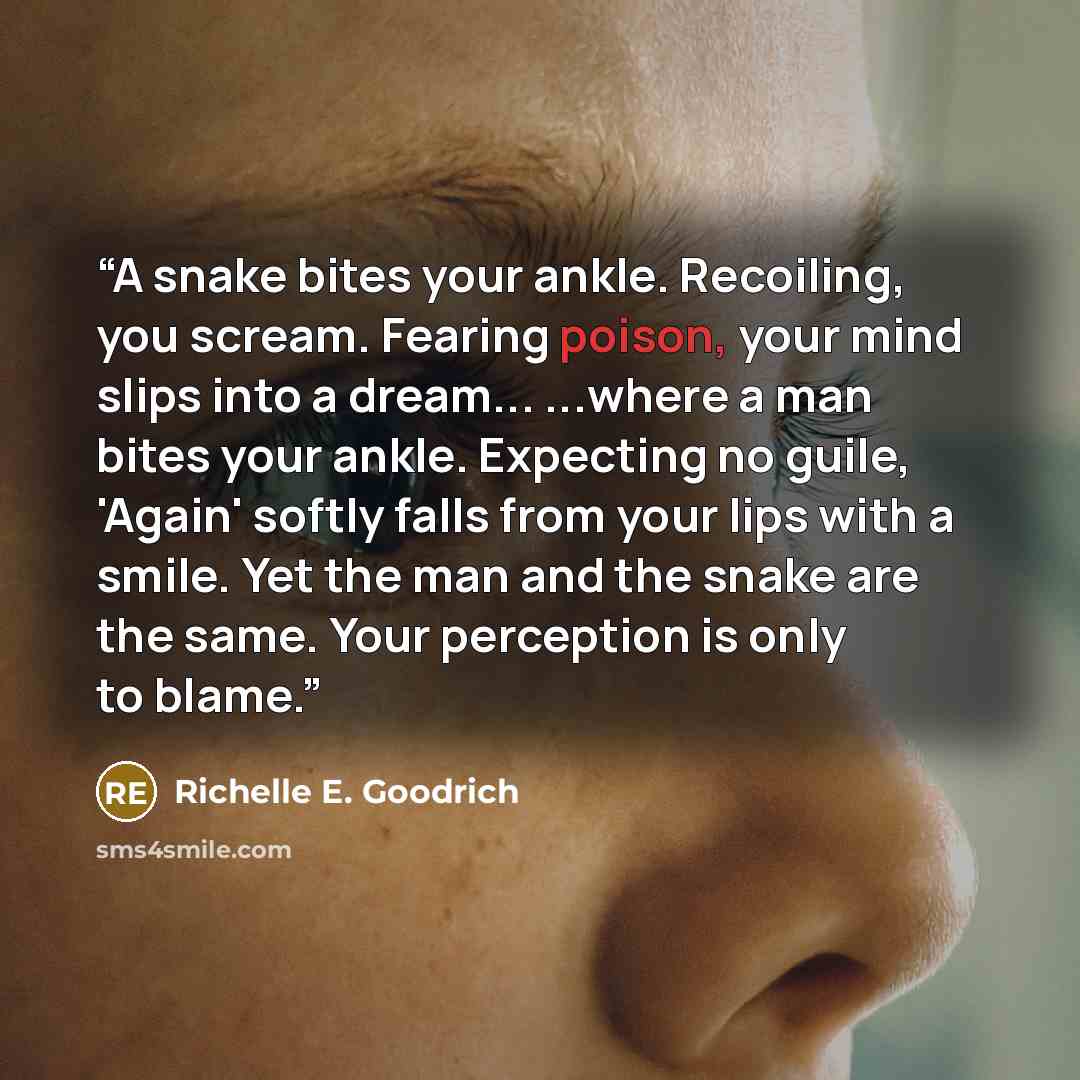 “A snake bites your ankle. Recoiling, you scream. Fearing poison, your mind slips into a dream... ...where a man bites your ankle. Expecting no guile, 'Again' softly falls from your lips with a smile. Yet the man and the snake are the same. Your perception is only to blame.” quote by Richelle E. Goodrich