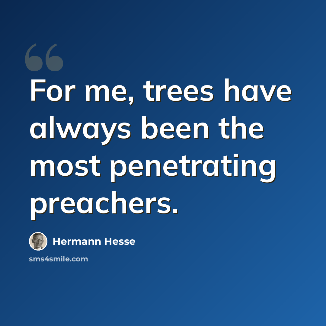 “For me, trees have always been the most penetrating preachers.” quote by Hermann Hesse