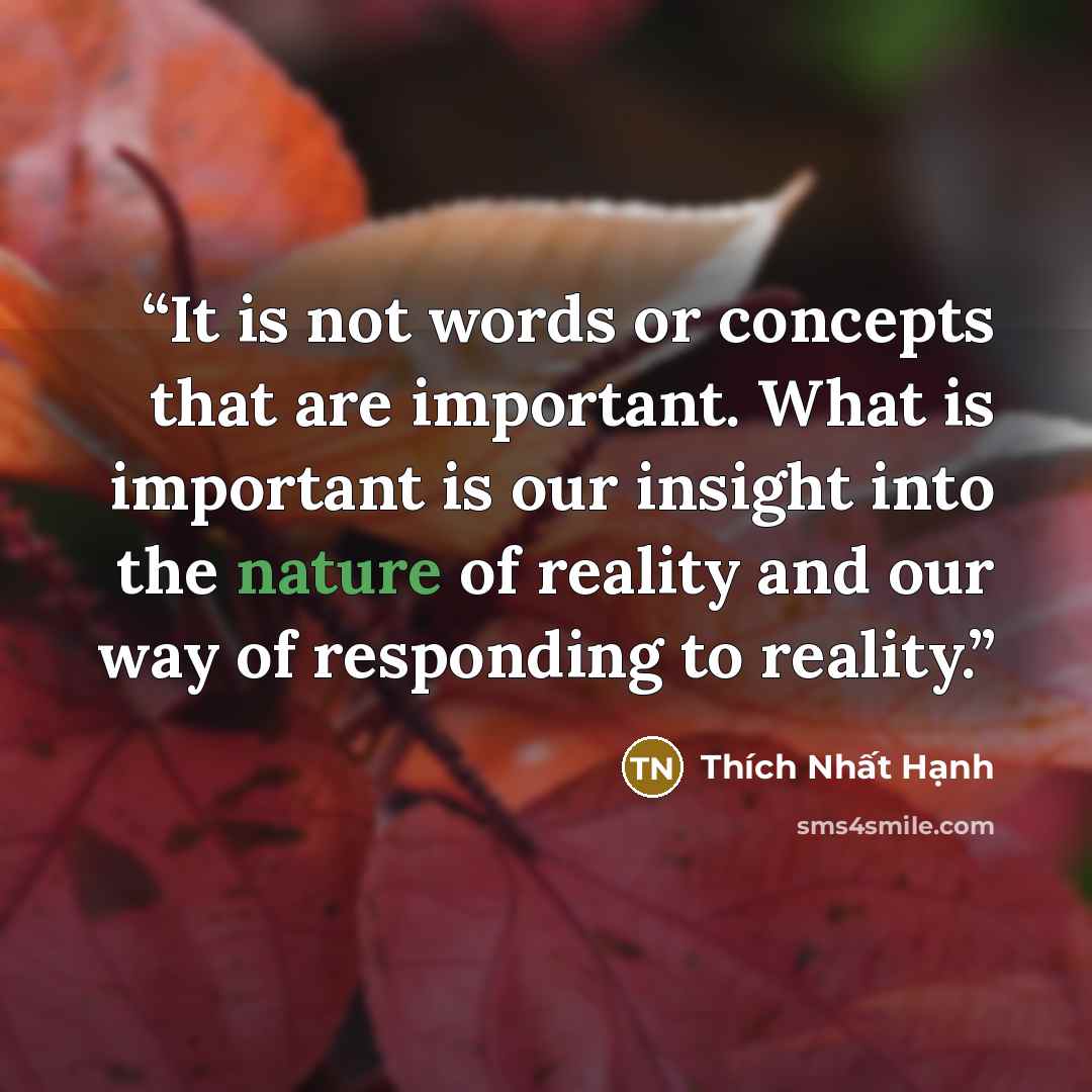 “It is not words or concepts that are important. What is important is our insight into the nature of reality and our way of responding to reality.” quote by Thich Nhat Hanh
