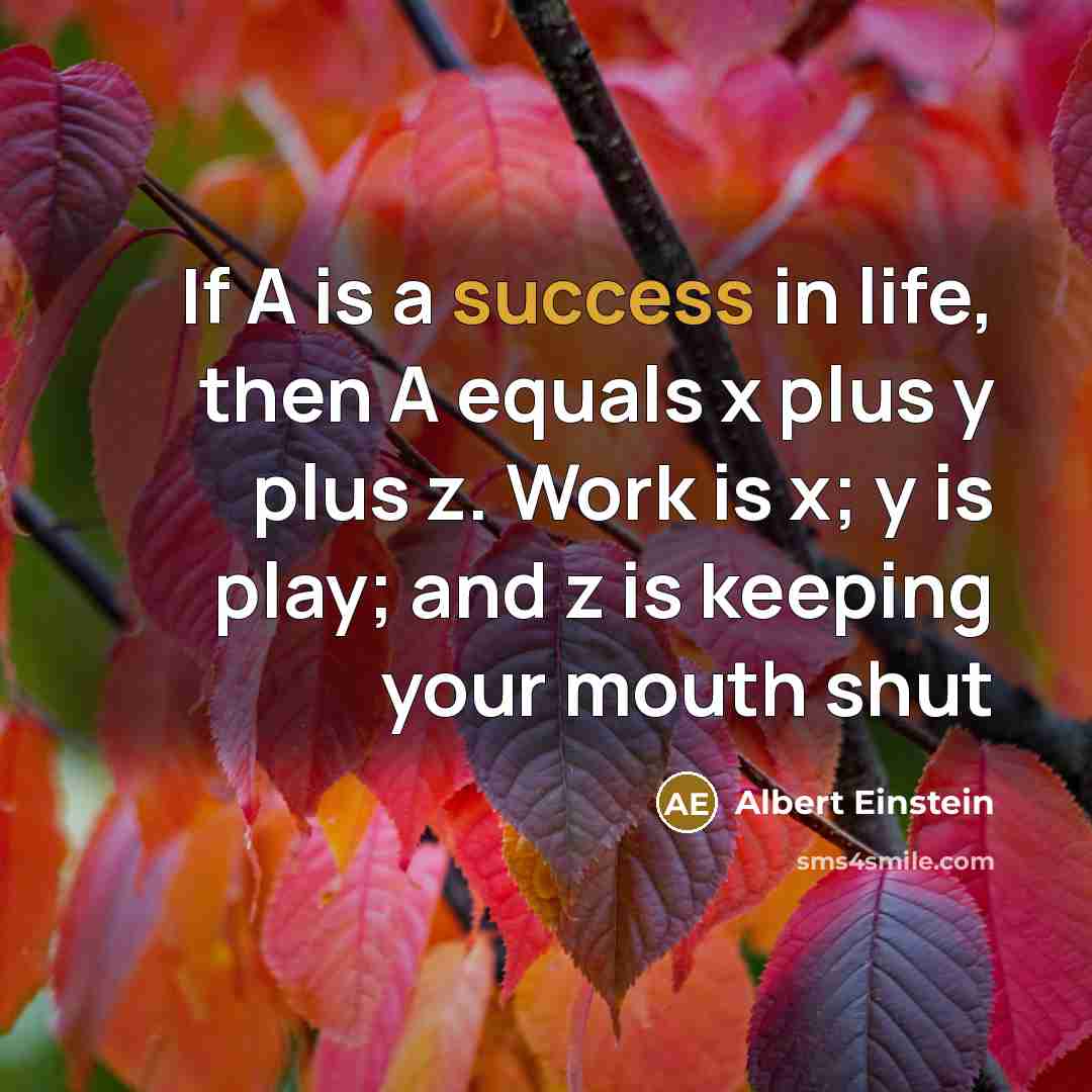 “If A is a success in life, then A equals x plus y plus z. Work is x; y is play; and z is keeping your mouth shut” quote by Albert Einstein