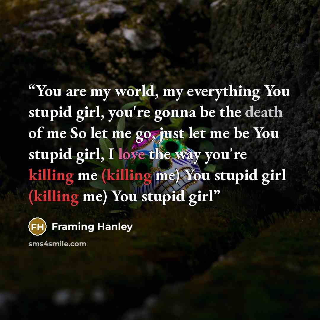 “You are my world, my everything You stupid girl, you're gonna be the death of me So let me go, just let me be You stupid girl, I love the way you're killing me (killing me) You stupid girl (killing me) You stupid girl” quote by Framing Hanley