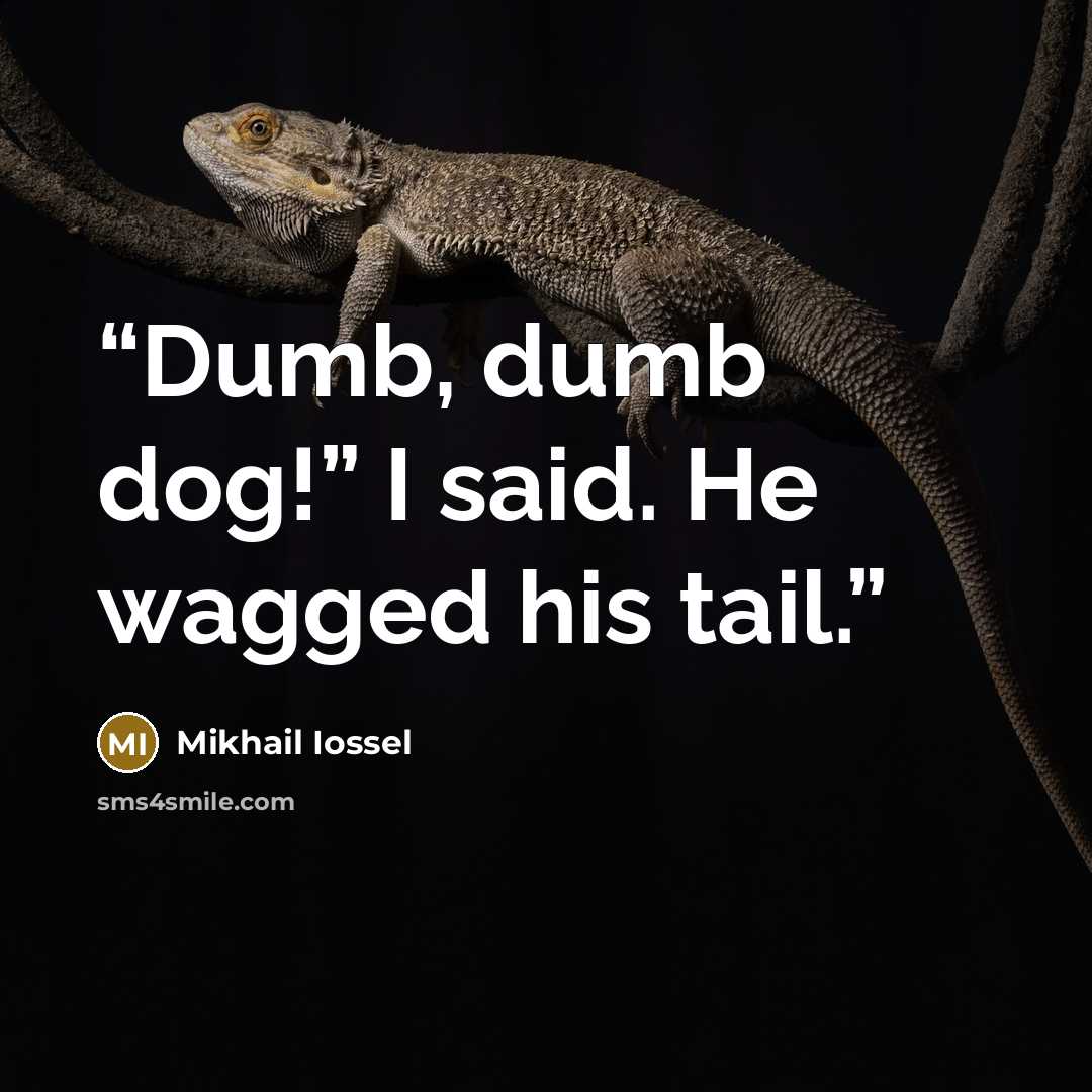 “Dumb, dumb dog!” I said. He wagged his tail.” quote by Mikhail Iossel